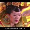 香港最准一肖特公开选料l